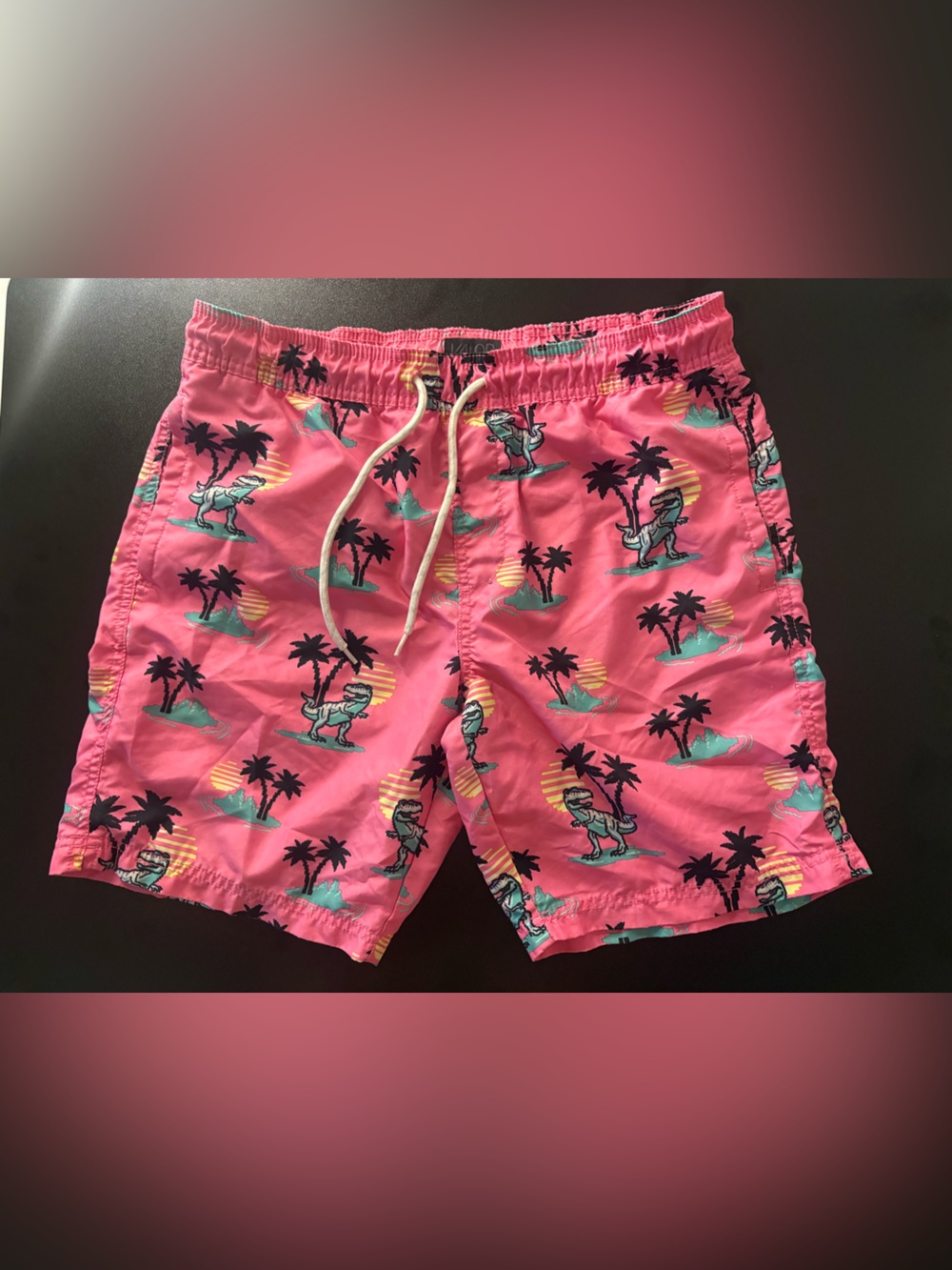 Men's Valor Pink Tropical Dino Swim Trunks 🌵M